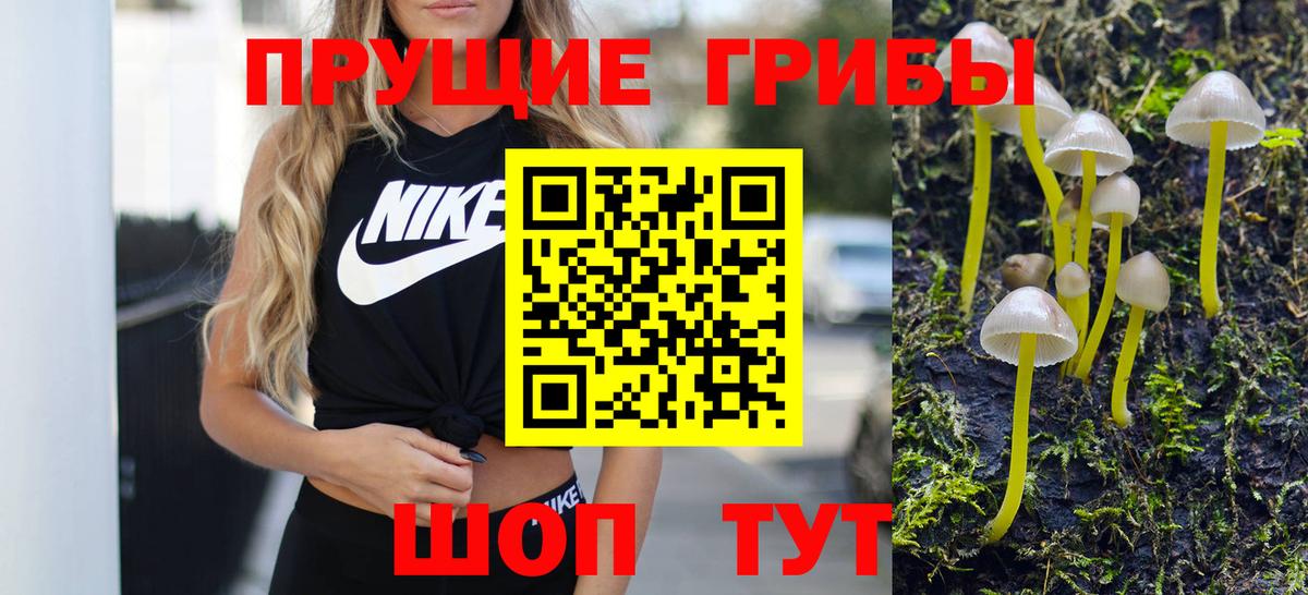 Псилоцибиновые грибы Magic Shrooms Заволжье