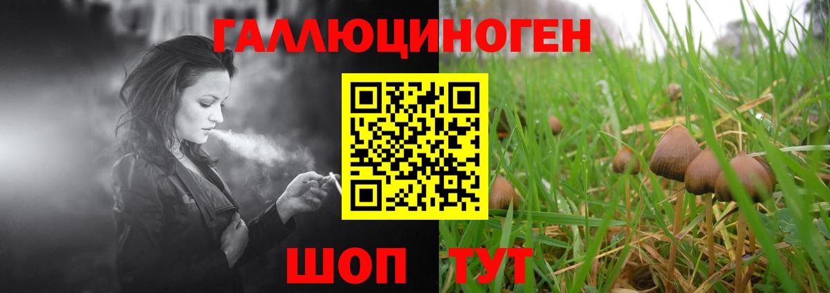Заволжье  Псилоцибиновые грибы MAGIC MUSHROOMS  Галлюциногенные грибы прущие грибы  Вход с VPN 